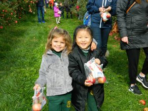 Preschool apple picking